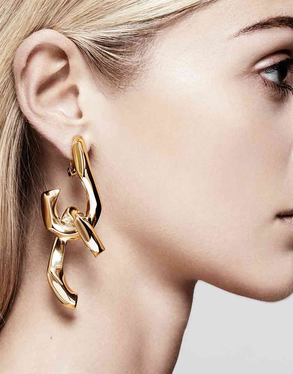 Boucles d'Oreilles Déchainée